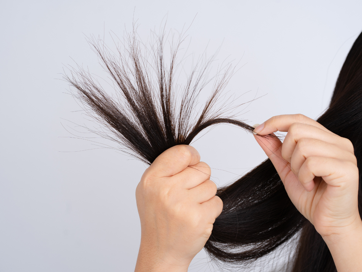 Pontas duplas no cabelo. Foto mostra mulher segurando pontas duplas do cabelo.