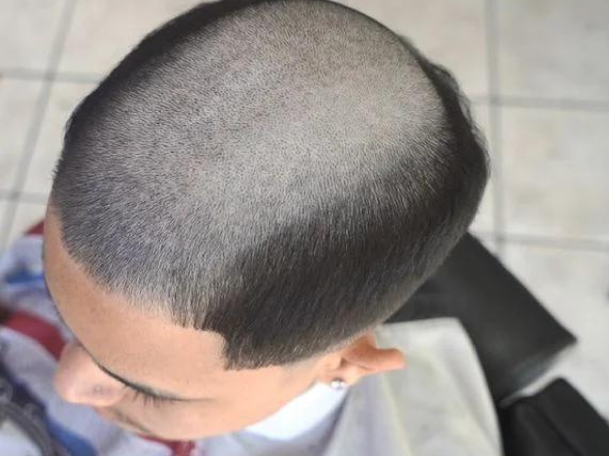 Corte cabelo de cria